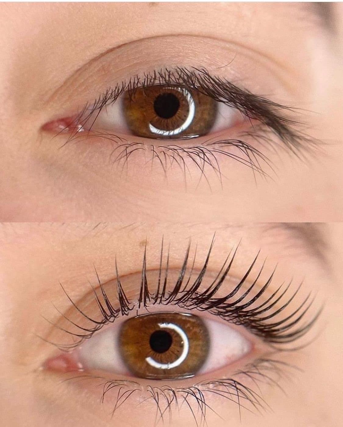 Lifting de pestañas